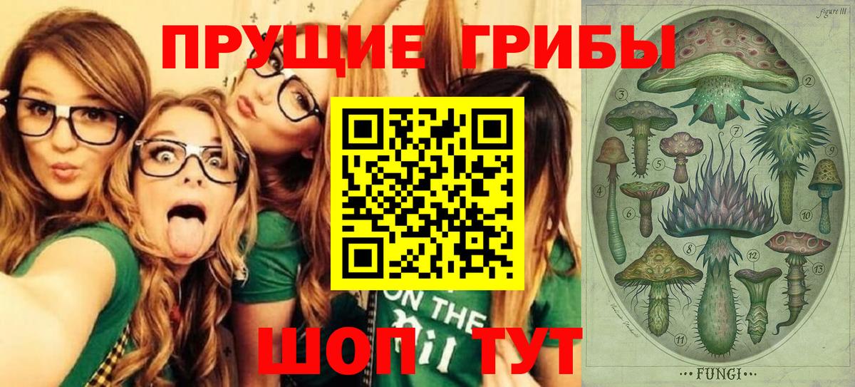 Псилоцибиновые грибы мицелий Верхняя Пышма