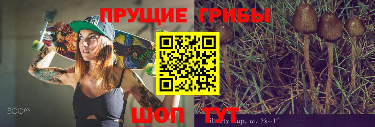 Галлюциногенные грибы Cubensis  Галлюциногенные грибы Psilocybe  Верхняя Пышма  Вход с VPN 